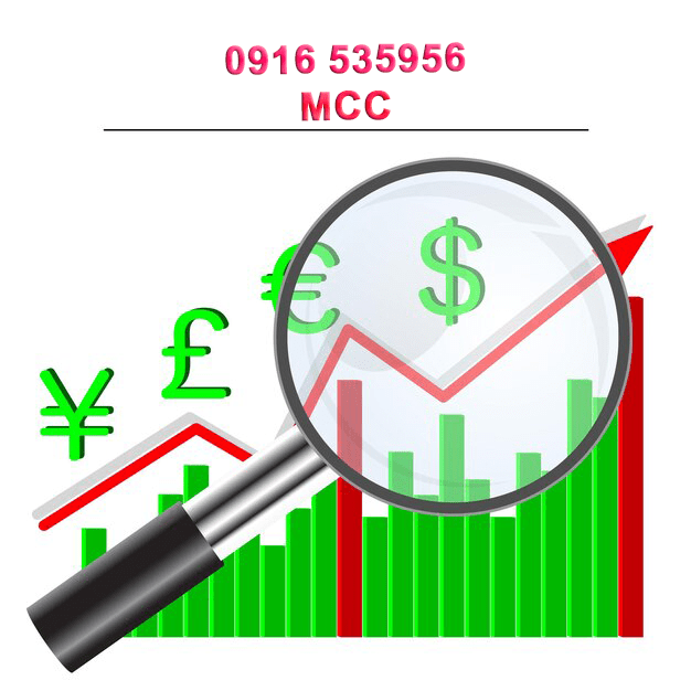 Phương Pháp Sửa Chữa Sổ Kế Toán tại MCC