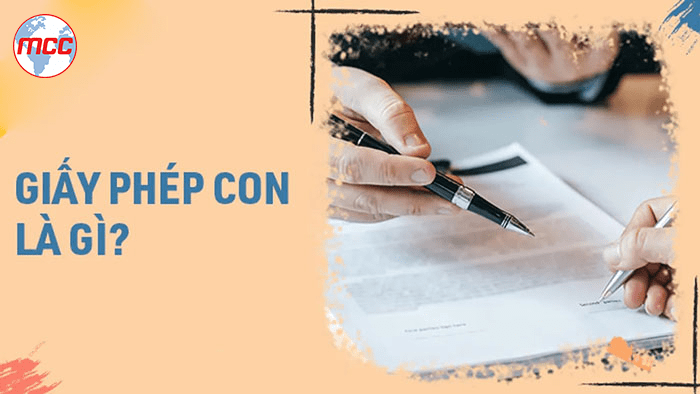 Dịch Vụ Làm Giấy Phép Con