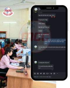 dịch vụ của minh mccgroup